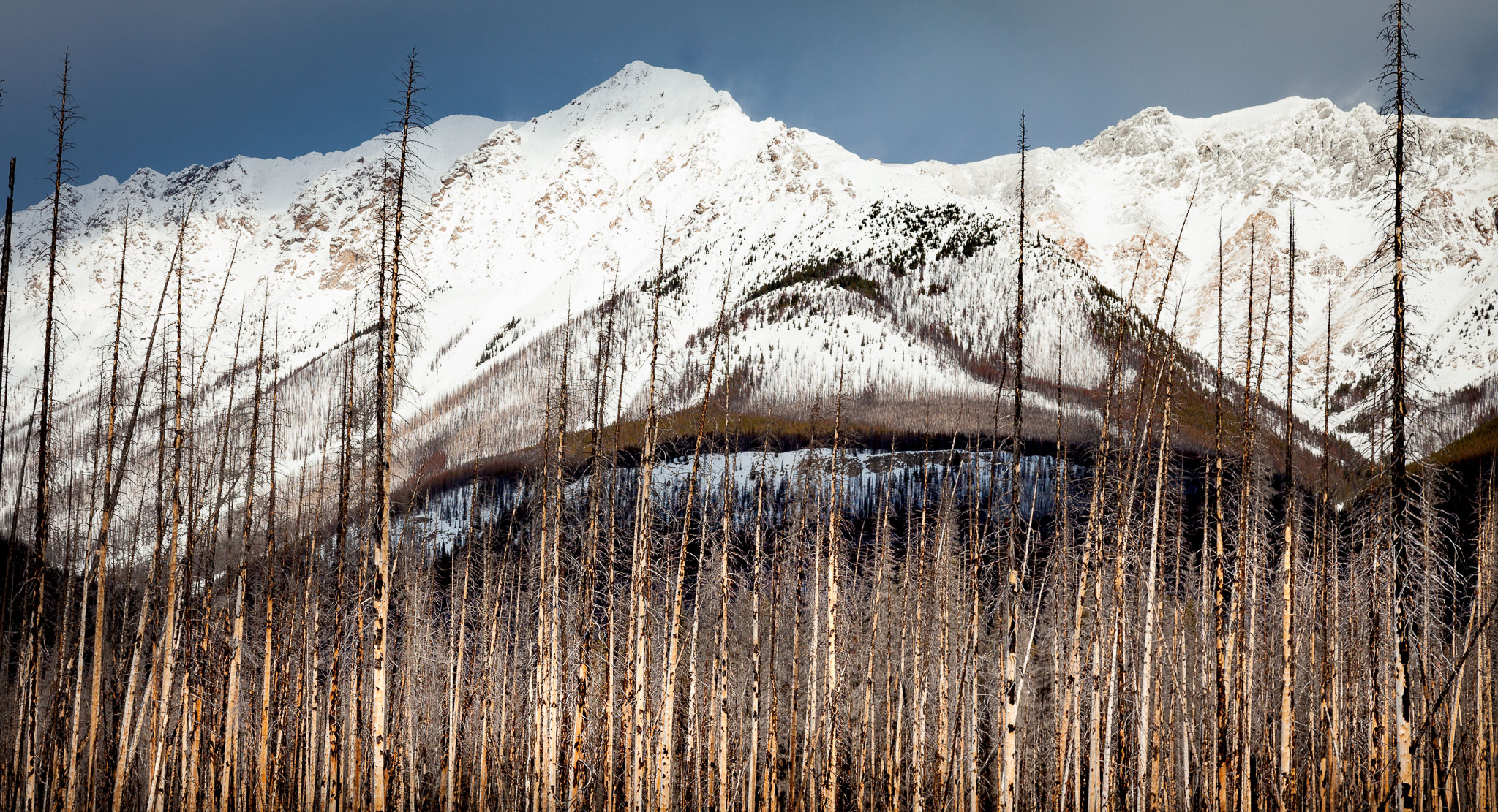 Rockies_130206_7761.jpg