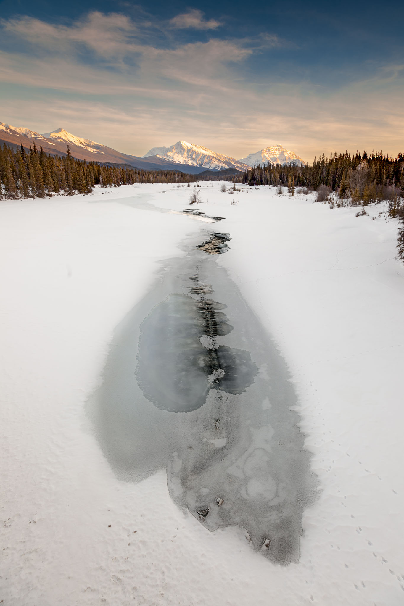 Rockies_130210_8505.jpg