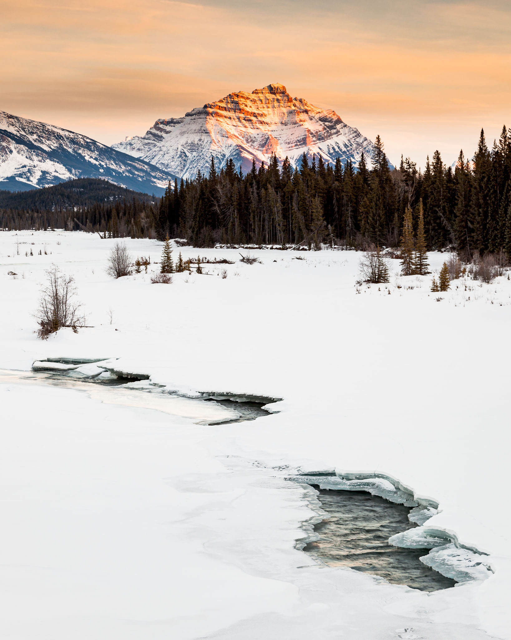 Rockies_130210_8514.jpg