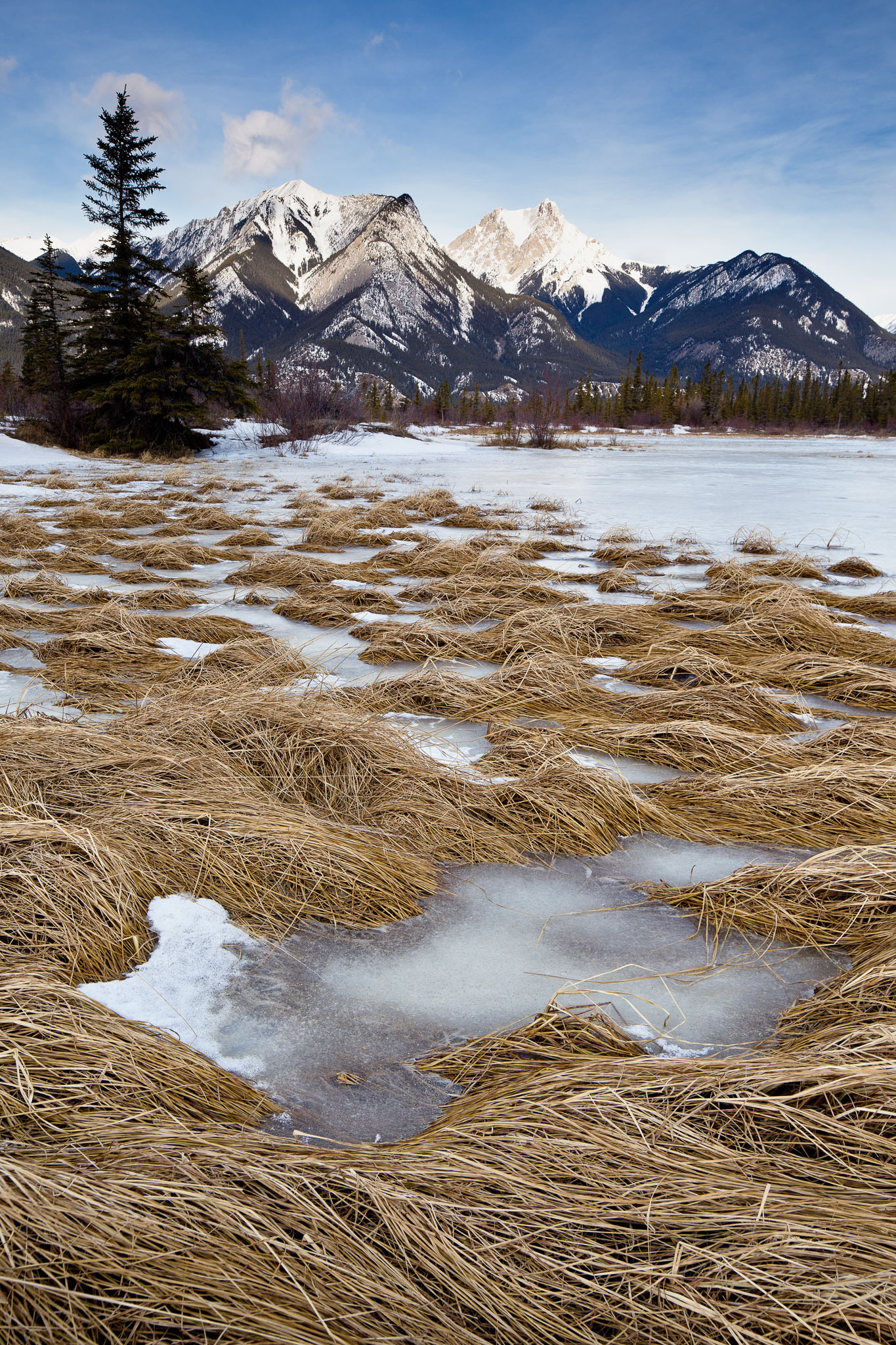 Rockies_130211_8537_Edit.jpg