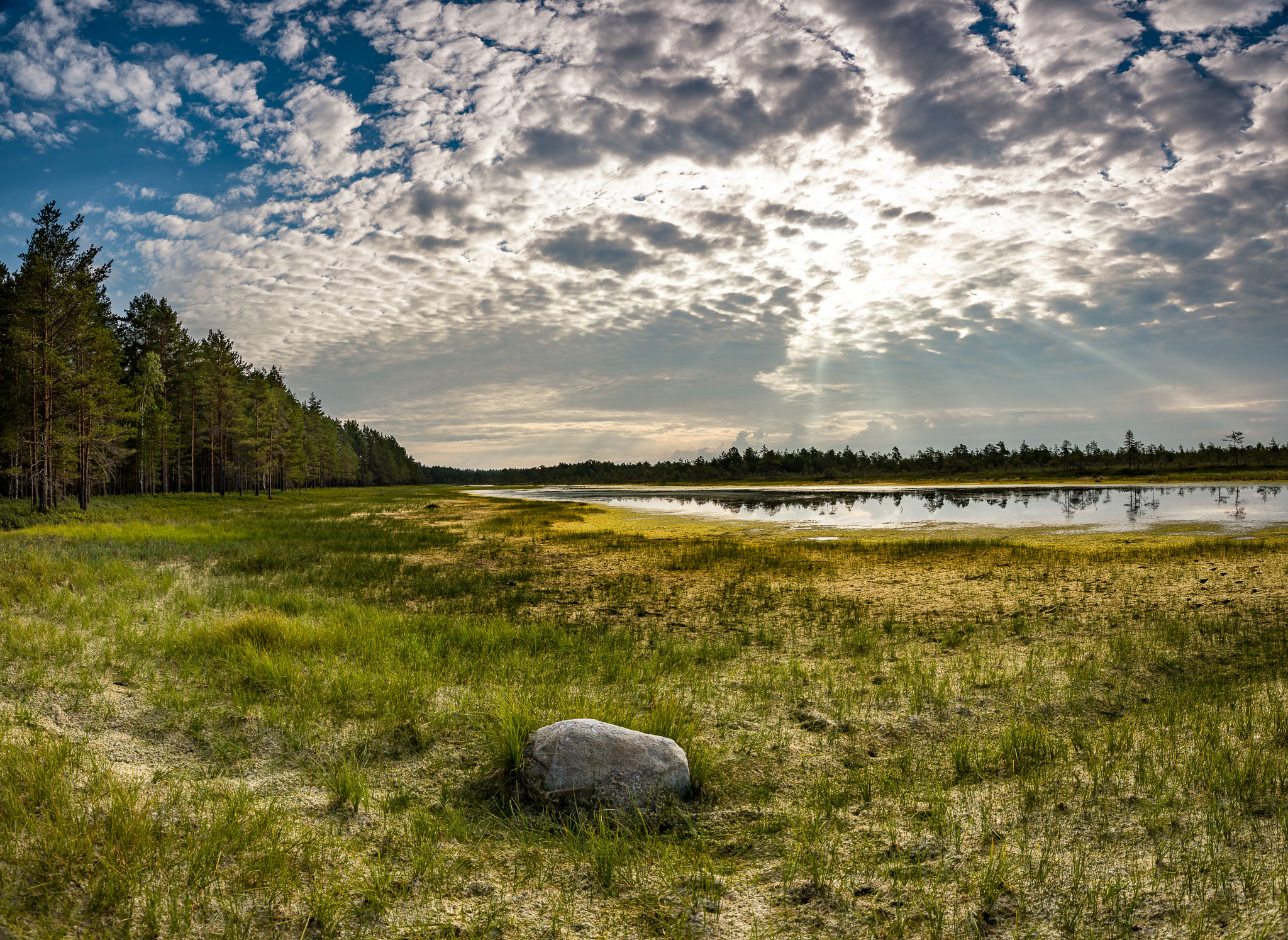 Estonia_180724_8002-Pano_Edit.jpg