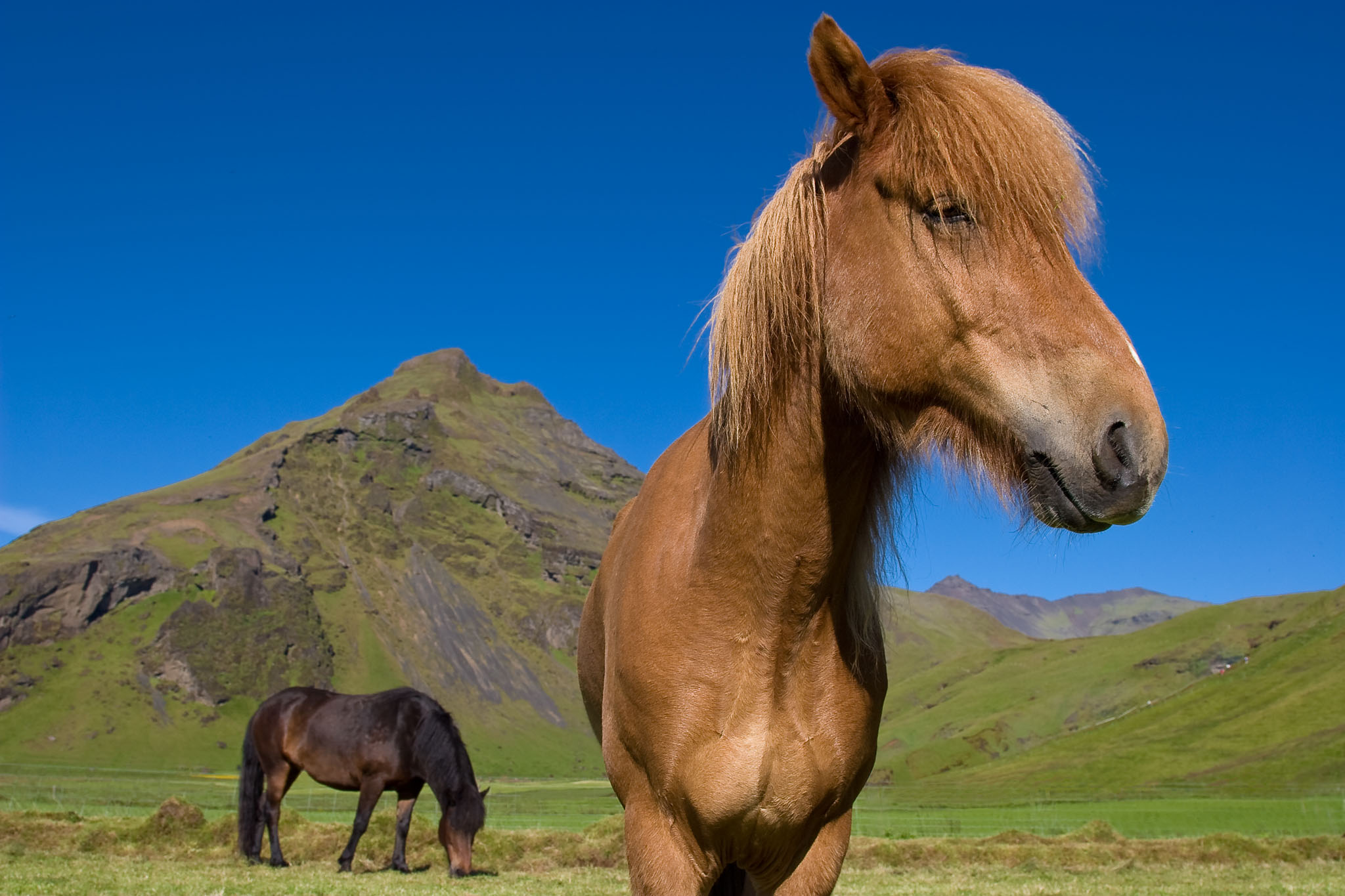 Iceland-20070802-4129-2-Edit.jpg