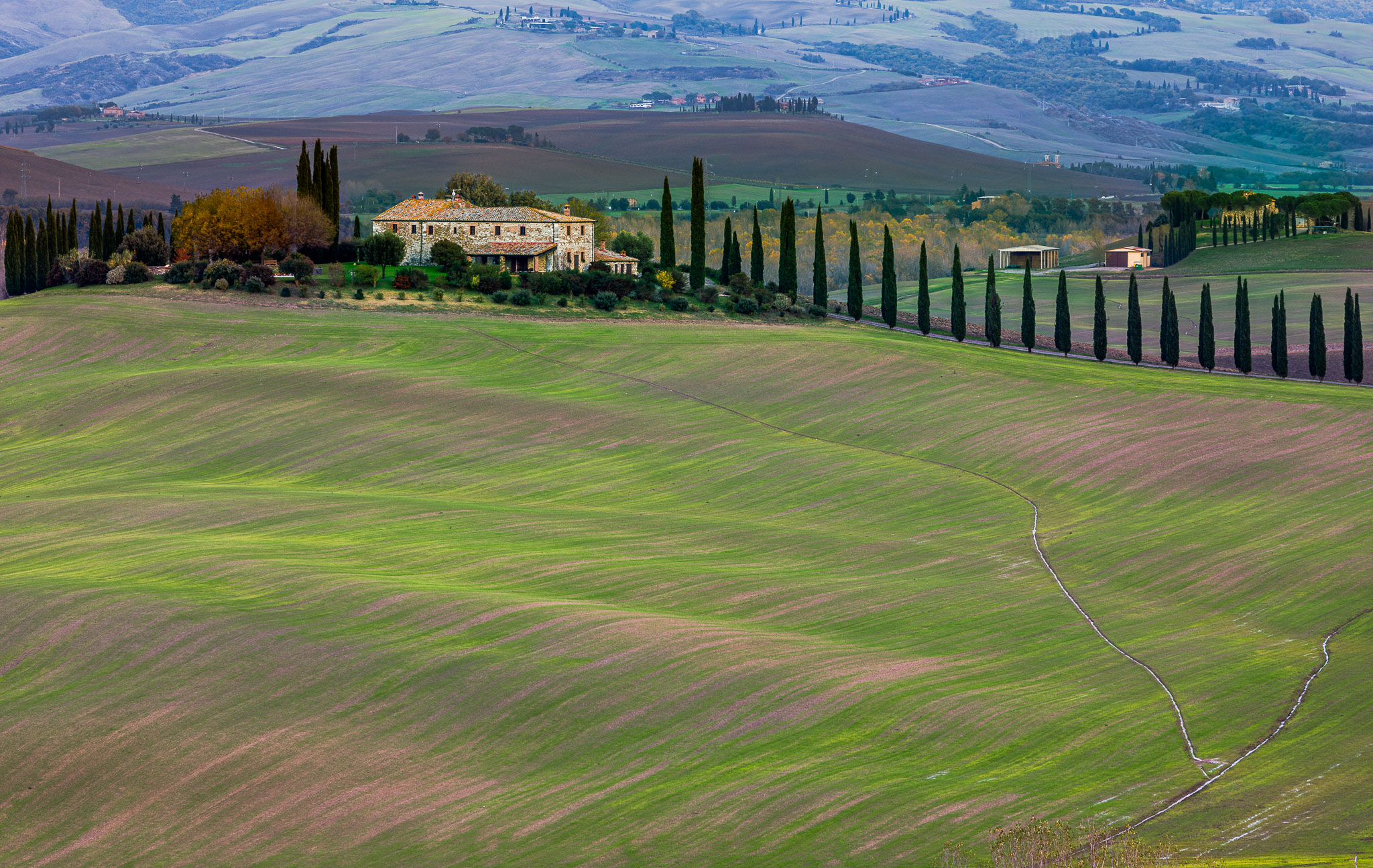 SanQuirico_231122_2325.jpg