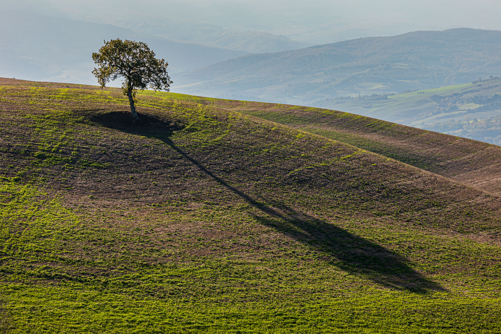 SanQuirico_231123_2354.jpg