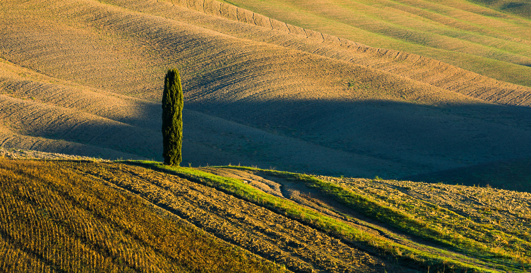 SanQuirico_231124_2458.jpg